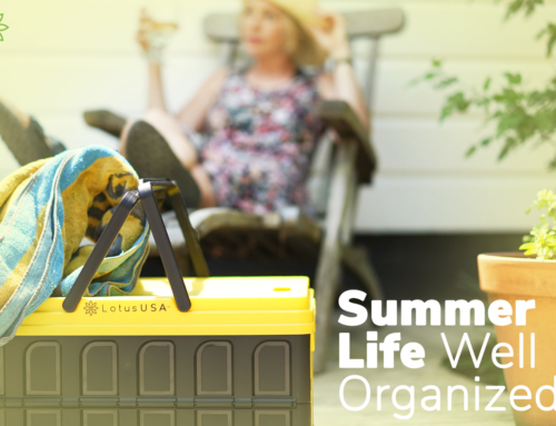 Summer Life. Well Organized.