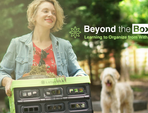 Beyond the Box  (Learning to Organize from Within)