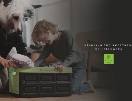 Savoring the Sweetness of Halloween