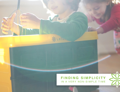 Finding Simplicity In A Very Non-Simple Time